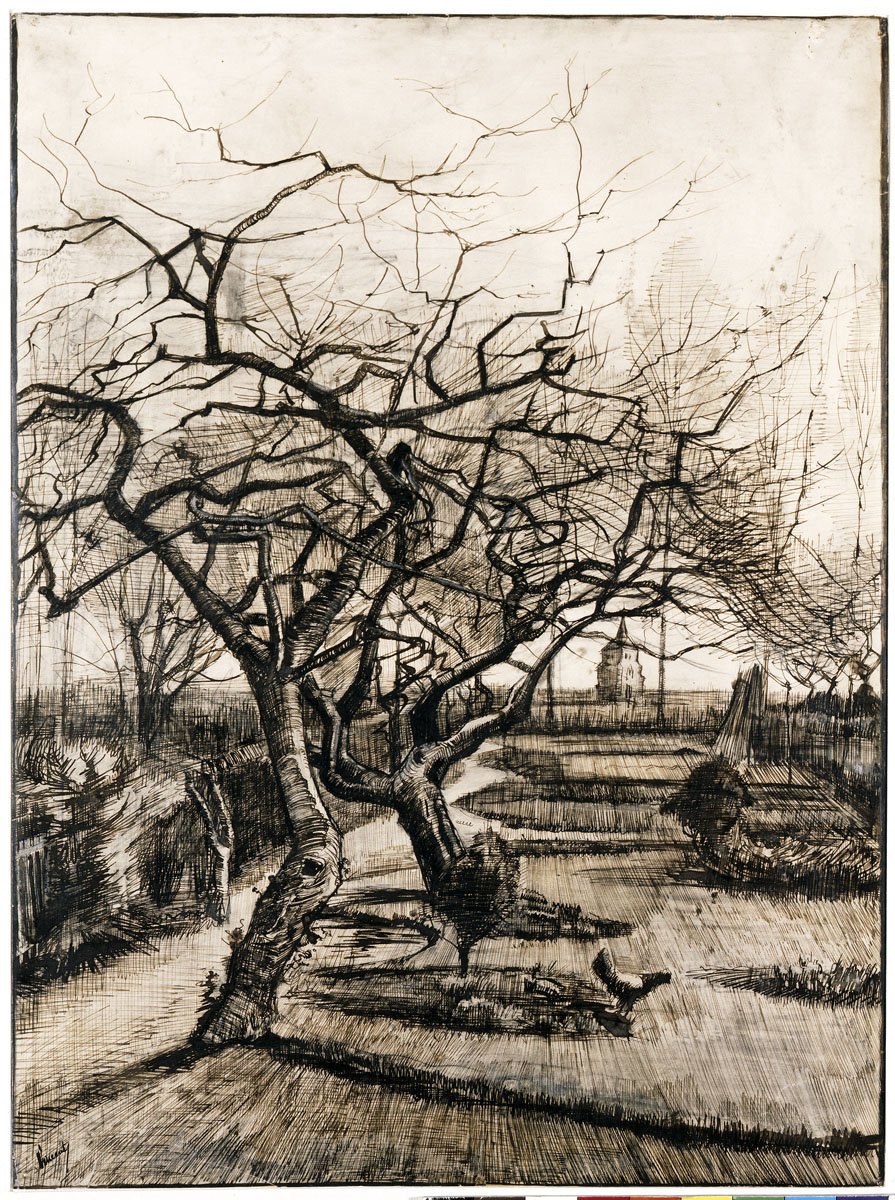 Vincent van Gogh: A nueneni kert télen, 1884
