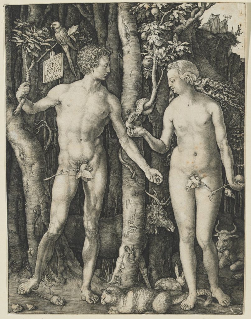 Dürer_Ádám és Éva